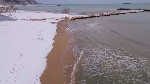 A unique winter beach scene where snow meets sand and ocean waves. Seagulls Stock Footage 302449448