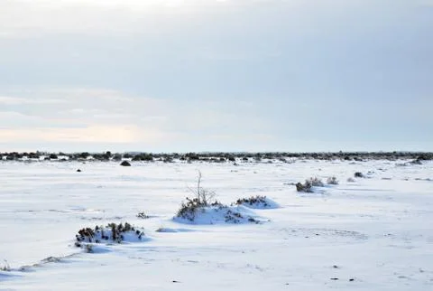 Unique winter landscape Stock Photos