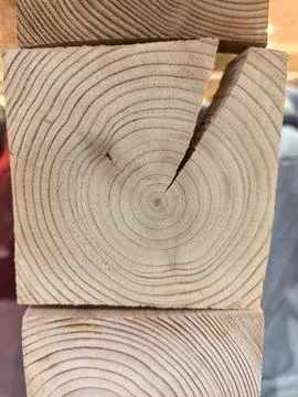 Unique wood texture with circular patterns and significant split detail Stock Photos