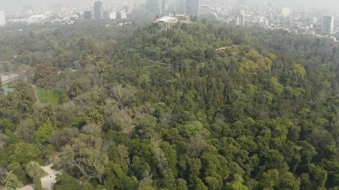Unique Zoom In of the Castle at Chapultepec Park Mexico City Paseo de la Reforma 動画素材 99792817
