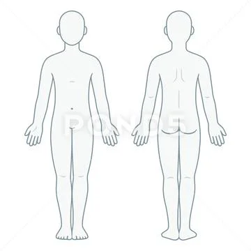 Male and female body chart, front and back view, blank human body