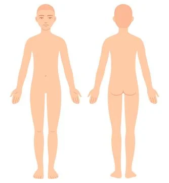 Unisex body chart flat vector illustration Illustrazione stock