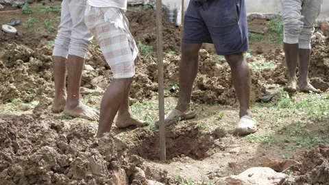 Unison Digging - Three Men Teamwork in the Garden Stock Footage 324030057