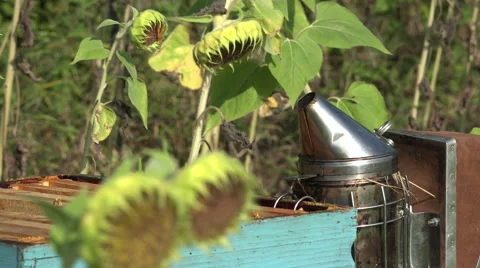 Unit to smoke out hives Video stock 53357439