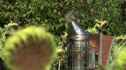 Unit to smoke out hives Stock Footage 53423123