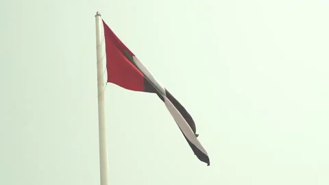 Unite arab Emirates uae flag waving in the wind Stock Footage 130881797