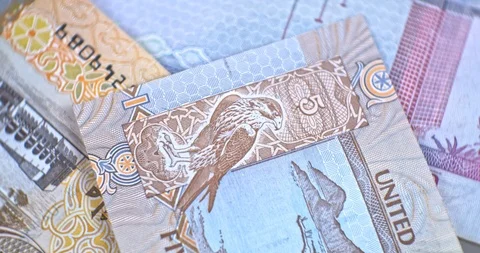 United Arab Emirates five dirham banknote, UAE Emirati money closeup 動画素材 127155917