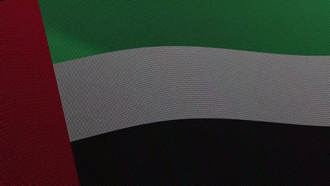 United Arab Emirates Flag Digital Particle Waving Seamless Loop Animation Stock Footage 339303582