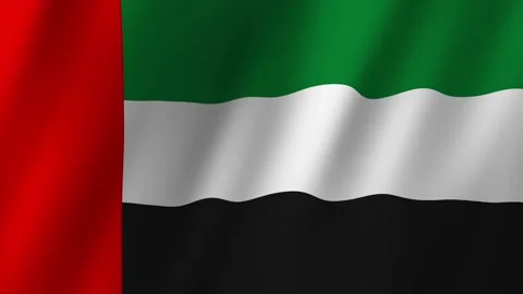 United Arab Emirates Flag. Flag of United Arab Emirates footage video waving in  Stock-Footage 254606901