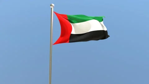 United Arab Emirates flag on flagpole. UAE flag fluttering in the wind.	 Stock Footage 168476830