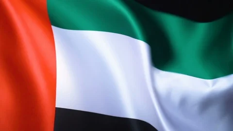United Arab Emirates Flag Flapping Stock Footage 118972399