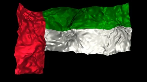 United Arab Emirates flag Stock Footage 110864219