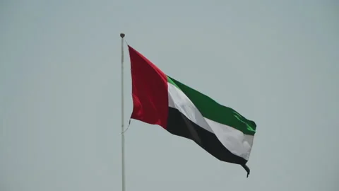 United Arab Emirates Flag Видео 170483923