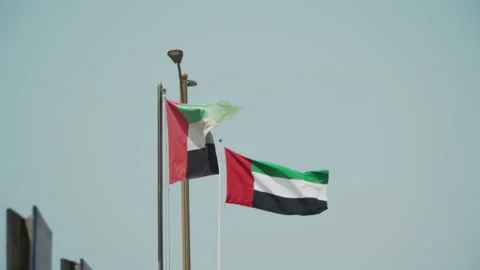 United Arab Emirates Flag Видео 170483955