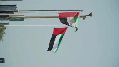 United Arab Emirates Flag 스톡 동영상 170484071