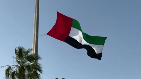 United Arab Emirates Flag Stock Footage 233832498