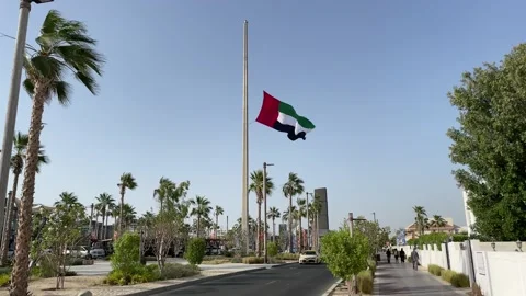 United Arab Emirates Flag Stock Footage 233832880