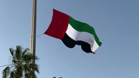 United Arab Emirates Flag Stock Footage 233853642
