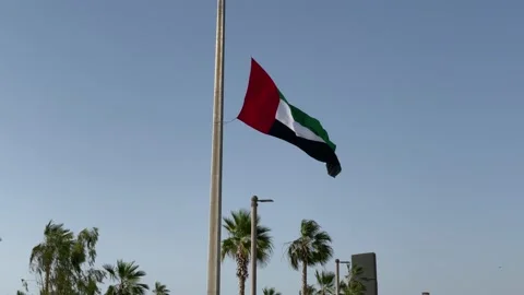 United Arab Emirates Flag  Stock Footage 233853690