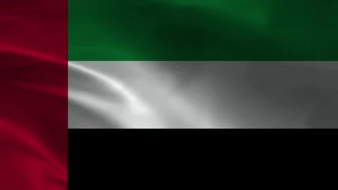 United Arab Emirates Flag Stock Footage 336904210