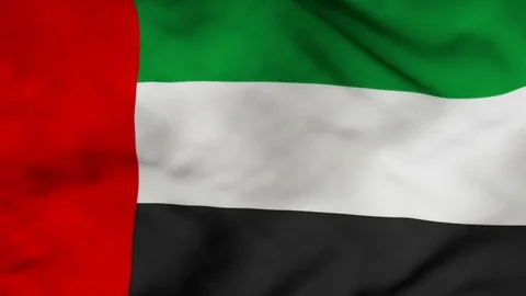 The United Arab Emirates flag waving in the wind Stock Footage 80360674