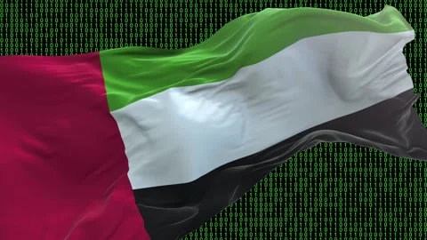 United Arab Emirates flag - Waving flag on matrix binary code background Stock Footage 321422011