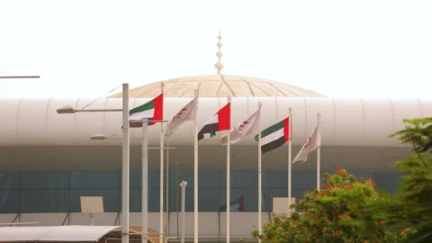 United Arab Emirates flags waving near the diplomatic building. Stock Footage 201157741