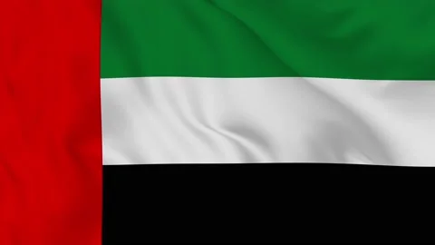 United Arab Emirates realistic waving flag. Stock Footage 203676953