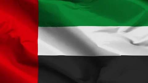 United arab flag moved by the wind Stock Footage 292446781