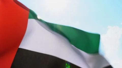 United Arabic Emirates Flag Flapping Stock Footage 118963245