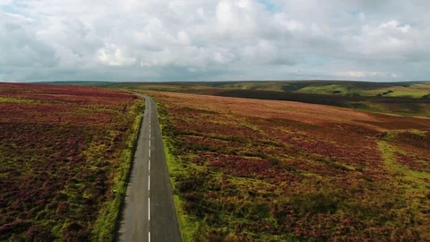 United Kingdom, Devon, Exmoor National Park, road passing across the moorland Stock Footage 80642041