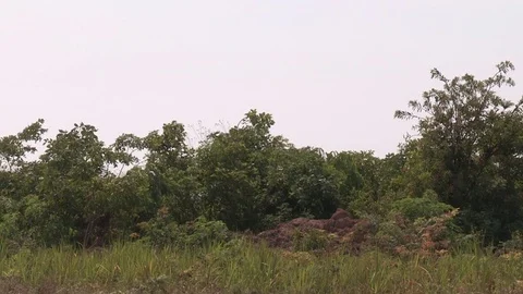 United Nations Aircraft taking off Stock Footage 84732353