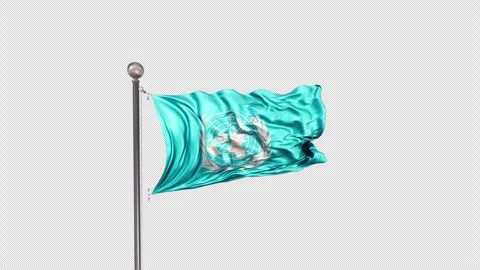 United Nations Flag  Animation Loop Include Alpha 3D Rendering Stock-Footage 312114739