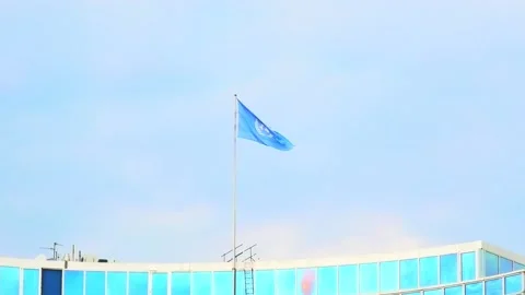 United Nations flag Stock Footage 140720874
