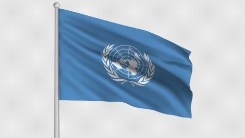 United Nations Flag Video stock 208483209