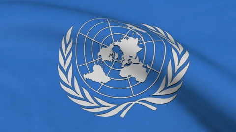 United Nations Flag Loop Stock Footage 241275911