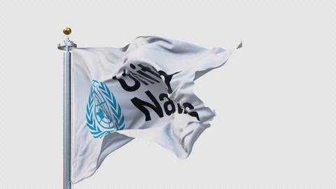 The united nations flag is waving. Video stock 294873995