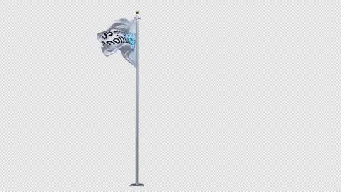 The united nations flag is waving. Stock Footage 294875265