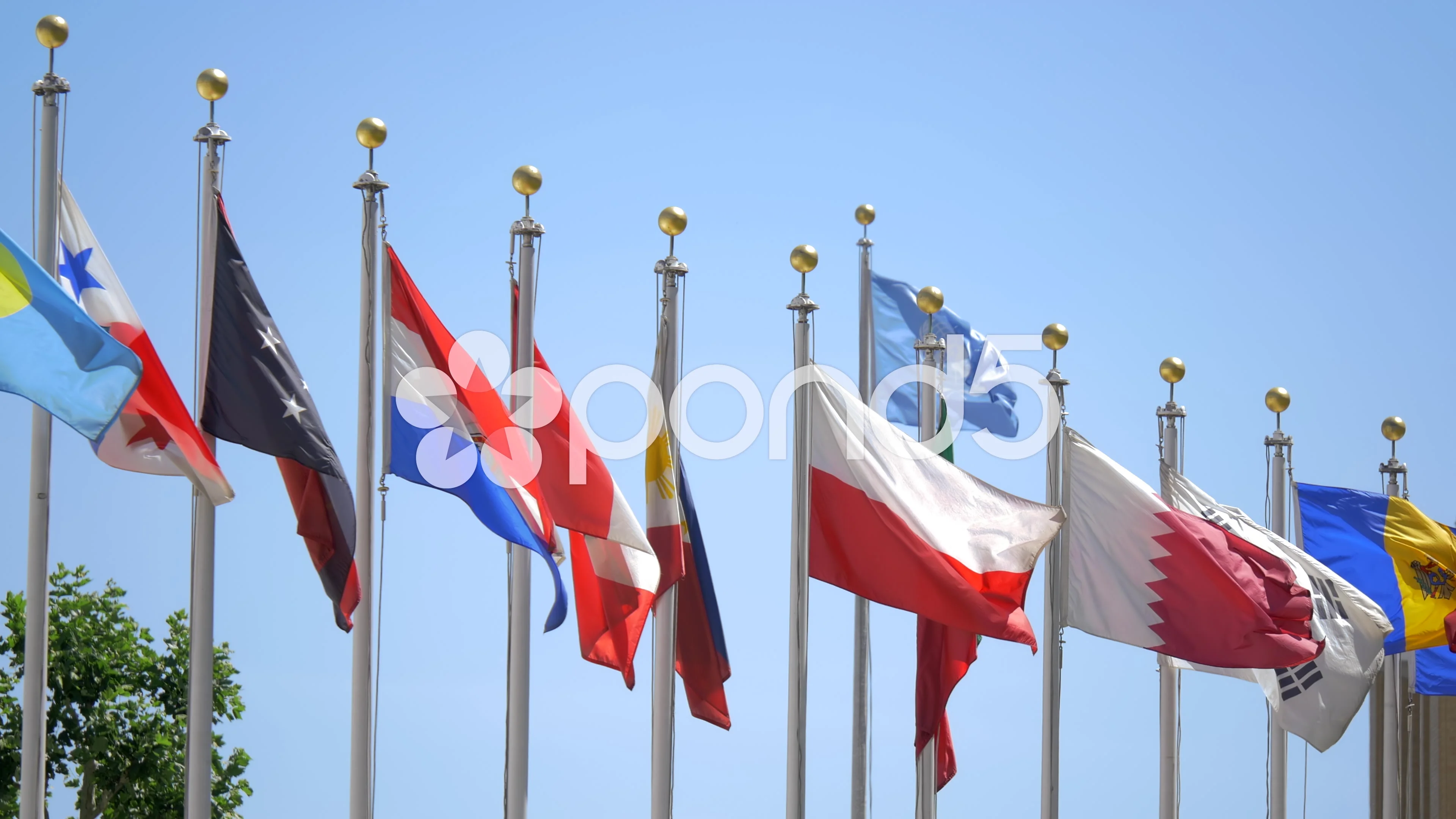 united nations members flags