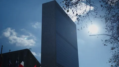 United Nations, NYC Stock Footage 317464863