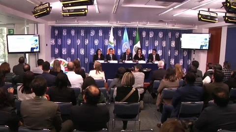United Nations program seeks to promote gender equality in Mexico, Mexico City,  Stock-Footage 256846476