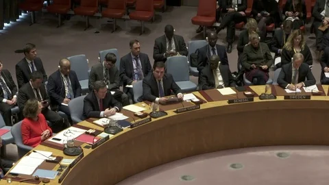 United Nations Security Council Видео 83799893