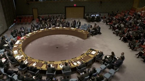 United Nations Security Council Stock-Footage 83800081