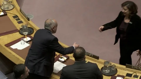 United Nations Security Council Stock-Footage 83800199