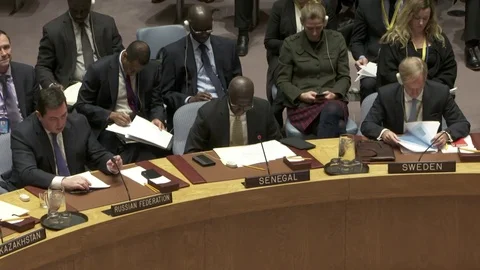 United Nations Security Council Vidéo 83800217