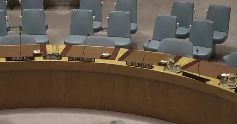 United Nations Security Council Vidéo 83814210