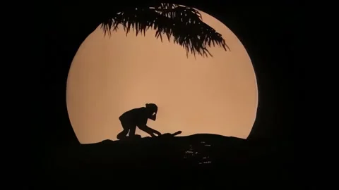 UNITED STATES - 1921 - A pair of monkeys first taste alcohol after they discover Stock Footage 301525948
