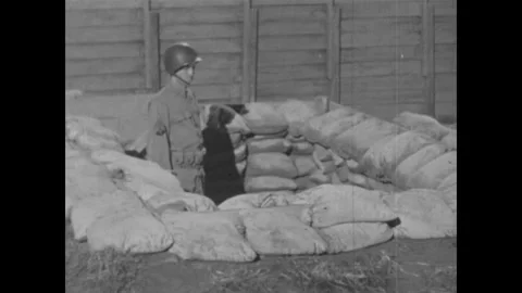 United States 1940s: Grenade explodes on ground. Soldiers lined behind Vídeos de archivo 320313675