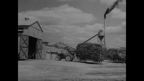 United States 1940s: Tractor pulls a wagonload of hemp bundles into a barn. Stock Footage 323325886