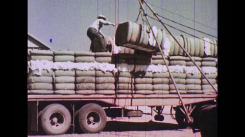 United States: 1950s: Man pulls heavy load on to lorry. Men work in field. Men Stock Footage 75300680